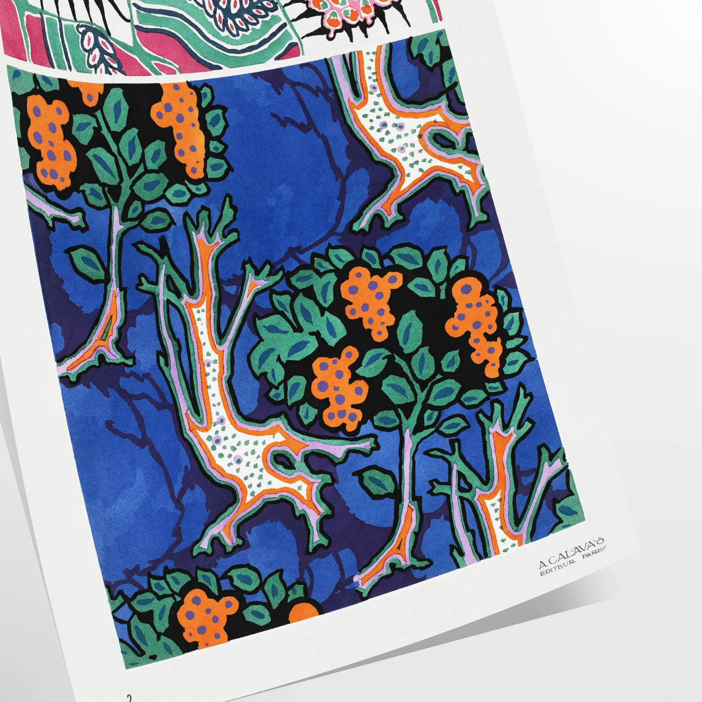 vibrant allure nature Plant EA Séguy poster orange blue hues wall art unique gift artwork space botanical haven A4 cm A0 print dimensions